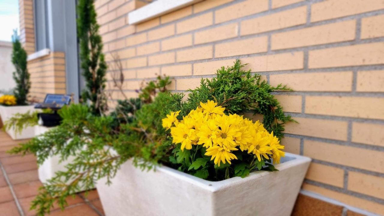 Apartamento El Atico De Anat Posada De Llanes Zewnętrze zdjęcie